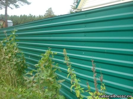 Забор из профнастила зеленого цвета